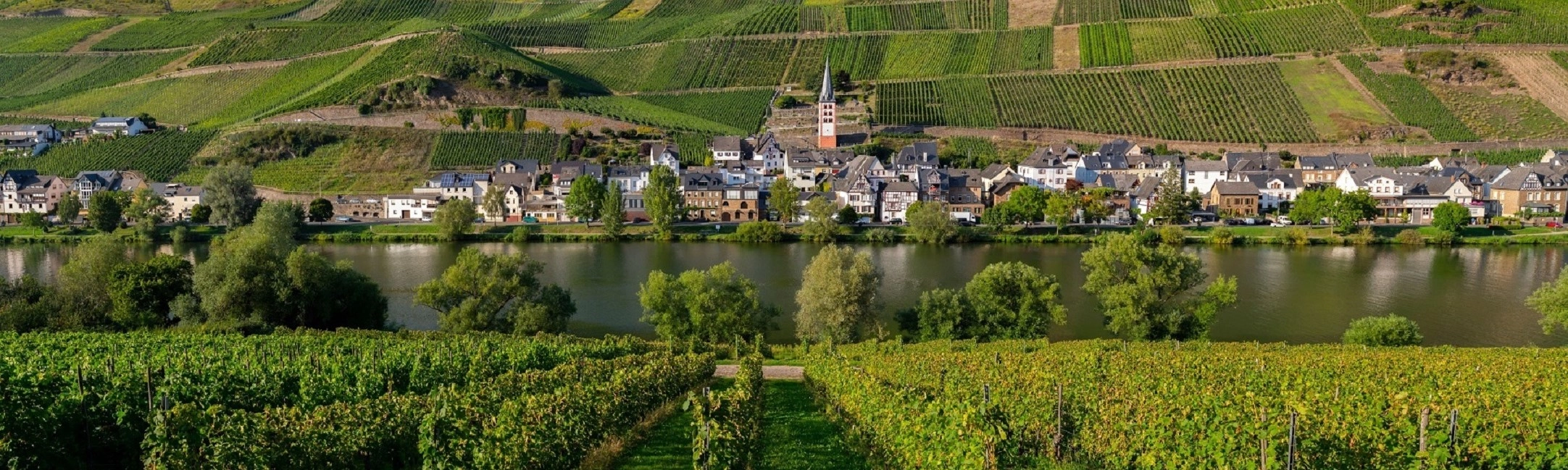 AdobeStock_296117571