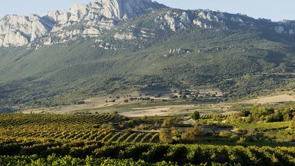 Baskerlandet og Rioja