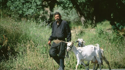 Vandreferie på Østkreta