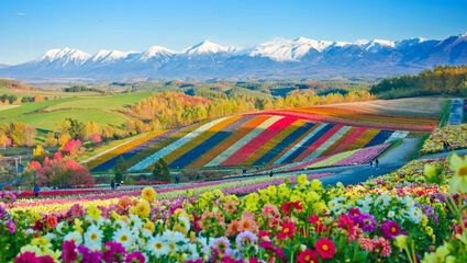 Hokkaido – Japans Nordø