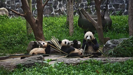Kinas kystmetropoler og eventyrlige landskaber<p><br></p>