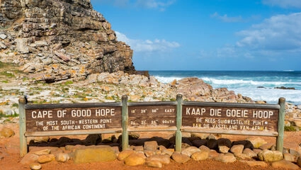 Sydafrikas bedste – Safari, hvaler og vingårde